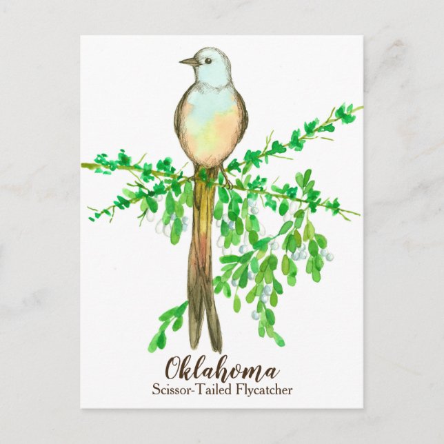 Carte Postale Oiseau de l'État de l'Oklahoma (Devant)