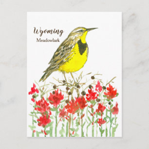 Carte Postale Oiseau de l'État de Meadowlark dans le Wyoming