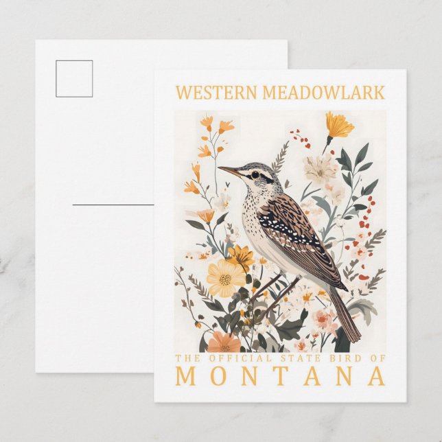 Carte Postale Oiseau de Meadowlark occidental du Montana USA Tra (Devant / Derrière)
