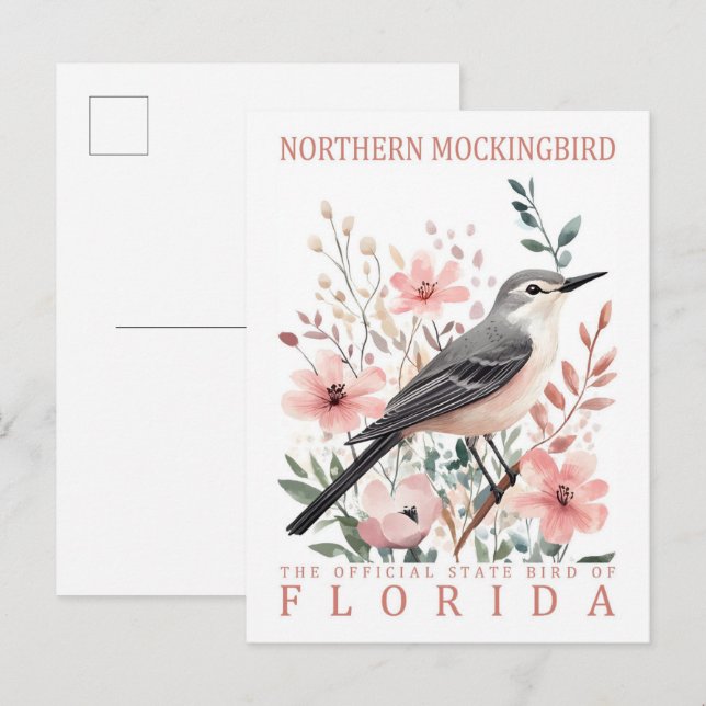 Carte Postale Oiseau de Mockingbird de Floride États-Unis Voyage (Devant / Derrière)