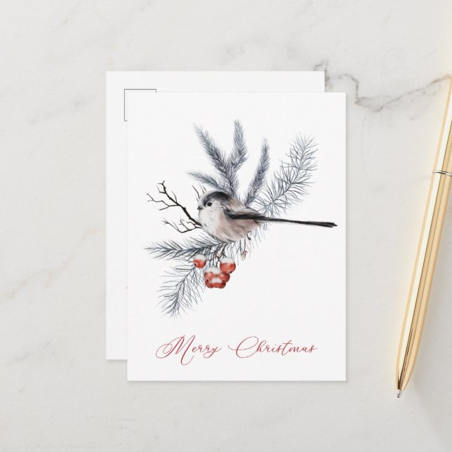 Carte Postale Oiseau de Neige, Pin, Baies Rouges Noël (Devant/Arrière en situation)