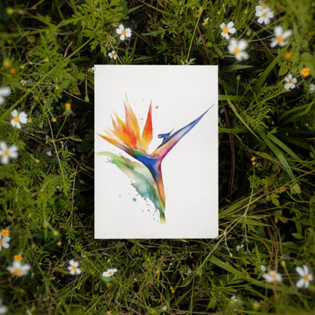 Carte Postale Oiseau de paradis fleur exotique clair aquarelle (Créateur téléchargé)
