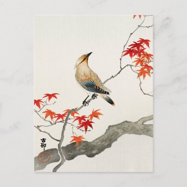 Carte Postale Oiseau de peste japonais sur l'érable par Ohara Ko (Devant)