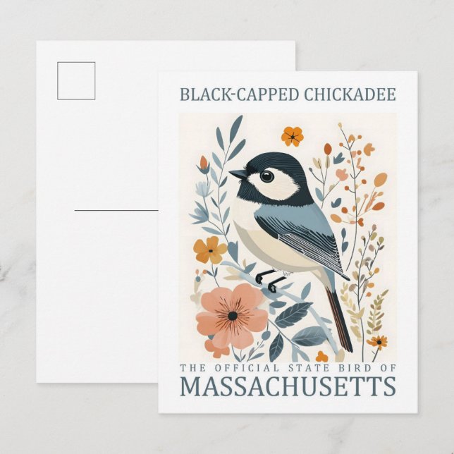 Carte Postale Oiseau de poulet à capuchon noir du Massachusetts  (Devant / Derrière)