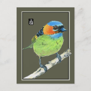 Carte Postale Oiseau de Tanager à cou rouge