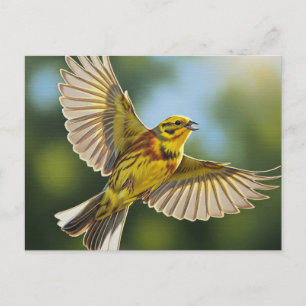 Carte Postale Oiseau d'État de l'Alabama Yellowhammer