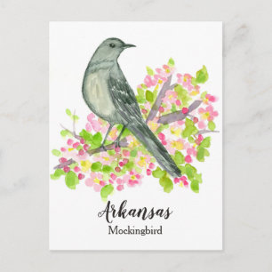 Carte Postale Oiseau d'État de l'Arkansas Mockingbird Apple Blos