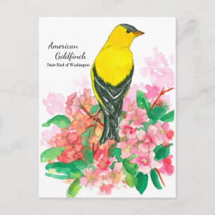 Carte Postale Oiseau d'État jaune d'Goldfinch à Washington