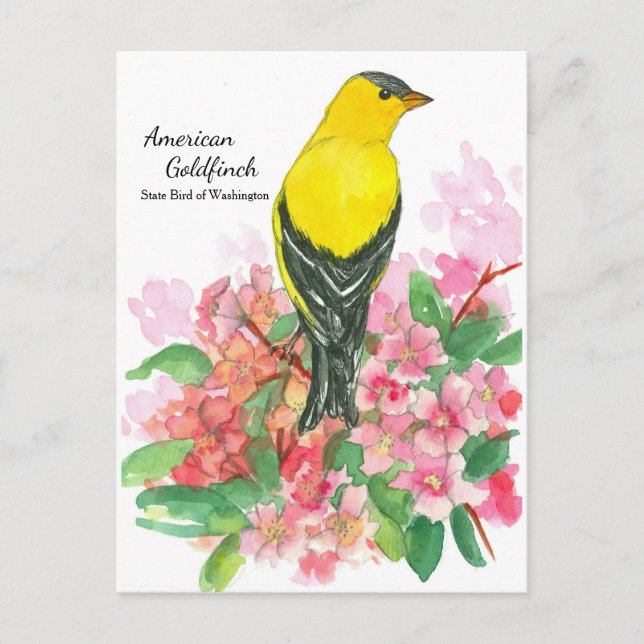 Carte Postale Oiseau d'État jaune d'Goldfinch à Washington (Devant)