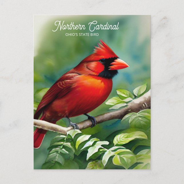 Carte postale Oiseau du Cardinal-Etat de l'Ohio (Devant)