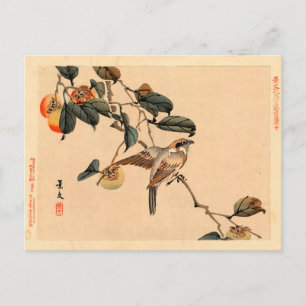 Carte Postale Oiseau en PersimmonTree