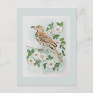 Carte Postale oiseau et fleur de l'État de Géorgie 