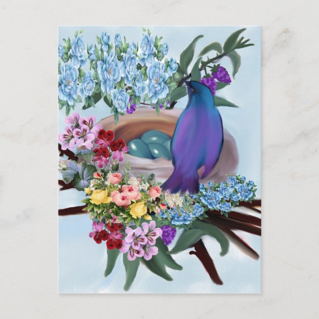 Carte Postale oiseau et nid (Devant)