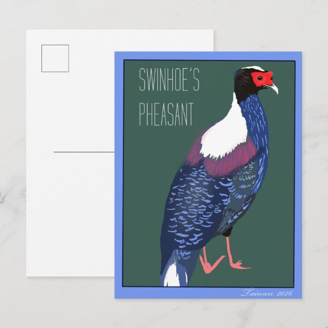 Carte Postale Oiseau -- Faisan de Swinhoe (Devant / Derrière)