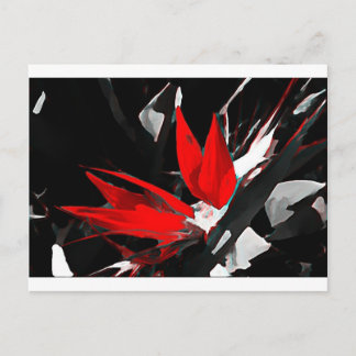 Carte Postale Oiseau funky du paradis