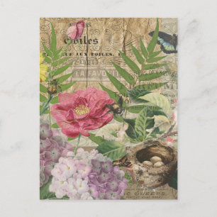 Carte Postale Oiseau Nid Floral Jardin Fleur Papillon Art