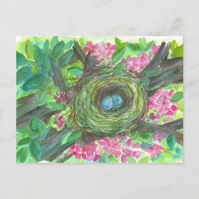 Carte Postale Oiseau Nid Robin Oeufs Fleurs roses (Devant)