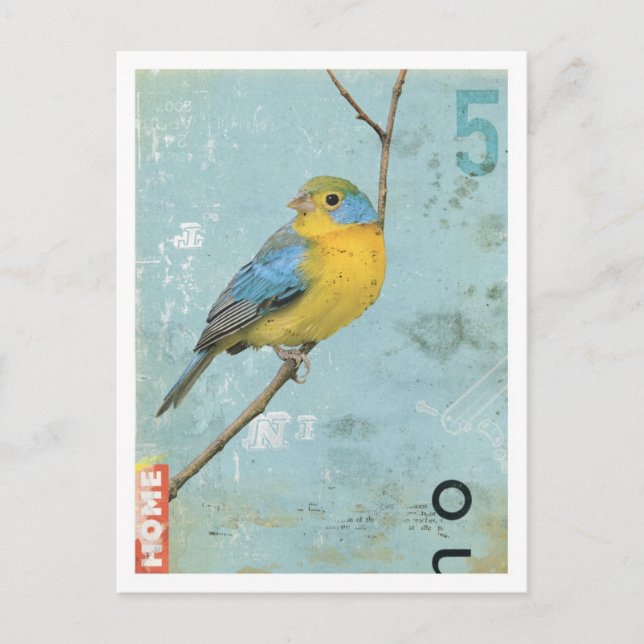 Carte Postale Oiseau no 5 (Devant)