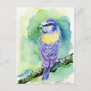 Carte Postale Oiseau pourpre