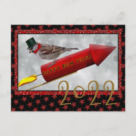 Carte Postale Oiseau Riding Rocket Vintage Bonne année