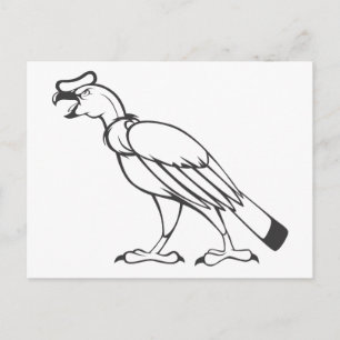 Carte Postale Oiseau sauvage de condor andin en noir et blanc