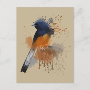 Carte Postale Oiseau Shama Rumpé Blanc