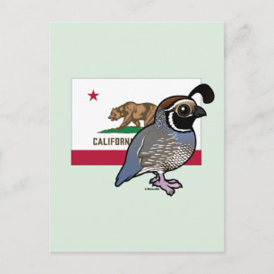 Carte Postale Oiseau State Birdorable : Colin de Californie