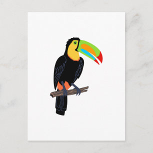 CARTE POSTALE OISEAU TOUCAN