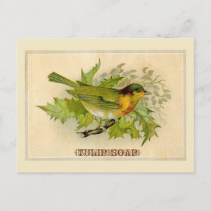 Carte Postale Oiseau vintage