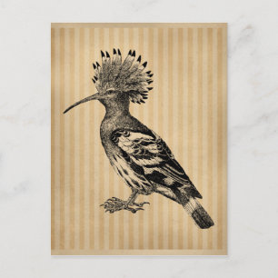 Carte Postale Oiseau vintage à houppier