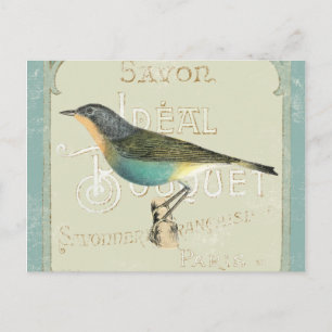 Carte Postale Oiseau vintage face à la gauche