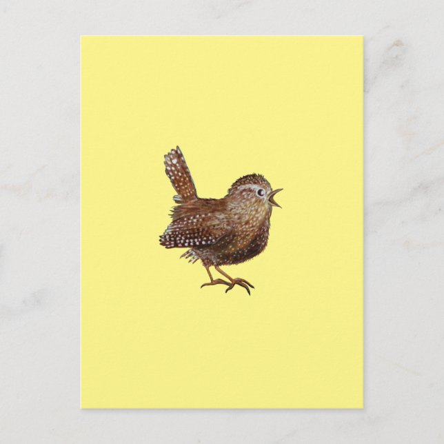 Carte Postale Oiseau Wren (Troglodytes Troglodytes) (Devant)
