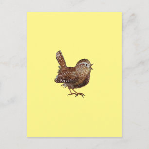 Carte Postale Oiseau Wren (Troglodytes Troglodytes)