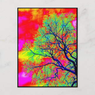 Carte Postale Oiseaux