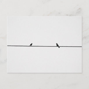 Carte Postale Oiseaux Amis