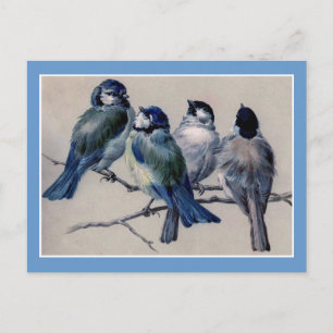 Carte Postale Oiseaux bleus sur une branche