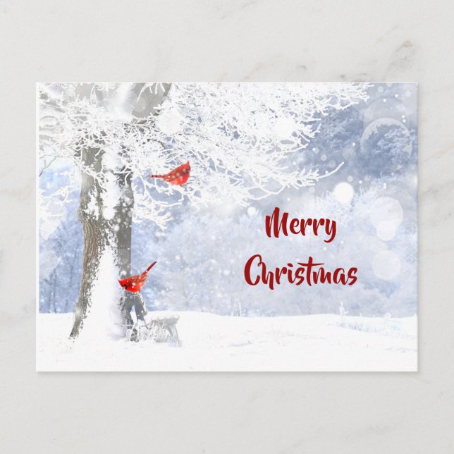 Carte Postale Oiseaux cardinaux rouges Arbres enneigés de Noël (Devant)