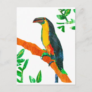 Carte Postale Oiseaux colorés Toucan