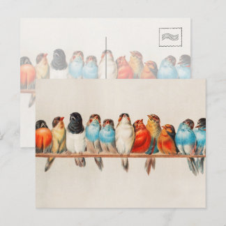 Carte Postale Oiseaux colorés vintages Aquarelle Nature Faune