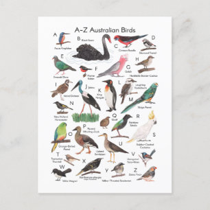 Carte Postale Oiseaux d'Australie