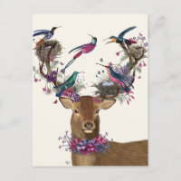 Oiseaux de cerfs, nids d'oiseaux tropicaux