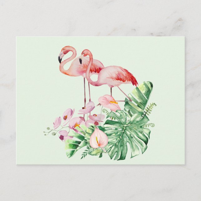 Carte Postale Oiseaux de Flamant rose, Fleurs tropicales et Feui (Devant)