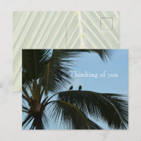 Oiseaux de Kauai Hawaii en palmier