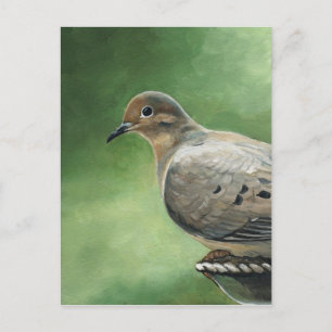 Carte postale Oiseaux de la colombe en deuil