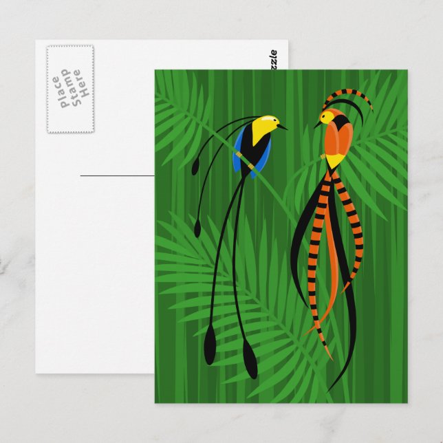 Carte Postale Oiseaux de Paradis aux Couleurs Vives (Devant / Derrière)