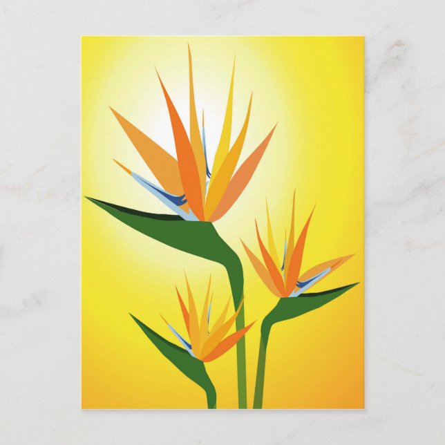 CARTE POSTALE OISEAUX DE PARADIS FLEURS DESIGN (Devant)
