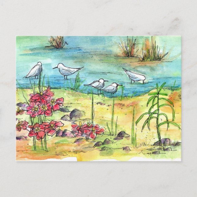 Carte Postale Oiseaux de rivage du lac Mouettes Aquarelles Fleur (Devant)