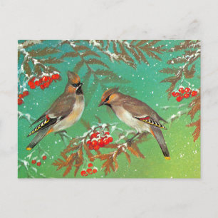 Carte Postale Oiseaux d'hiver