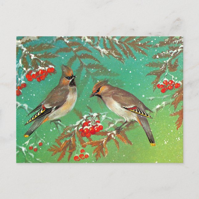 Carte Postale Oiseaux d'hiver (Devant)