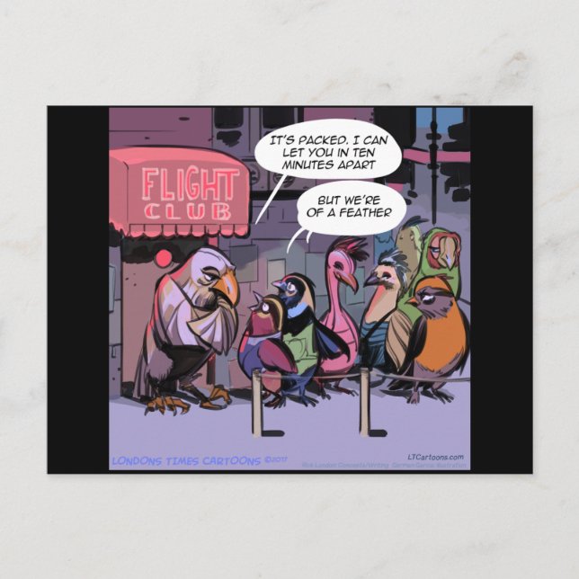 Carte Postale Oiseaux Drôle D'Une Plume (Devant)